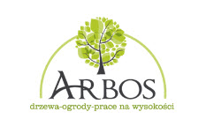 wycinka drzew Łódź